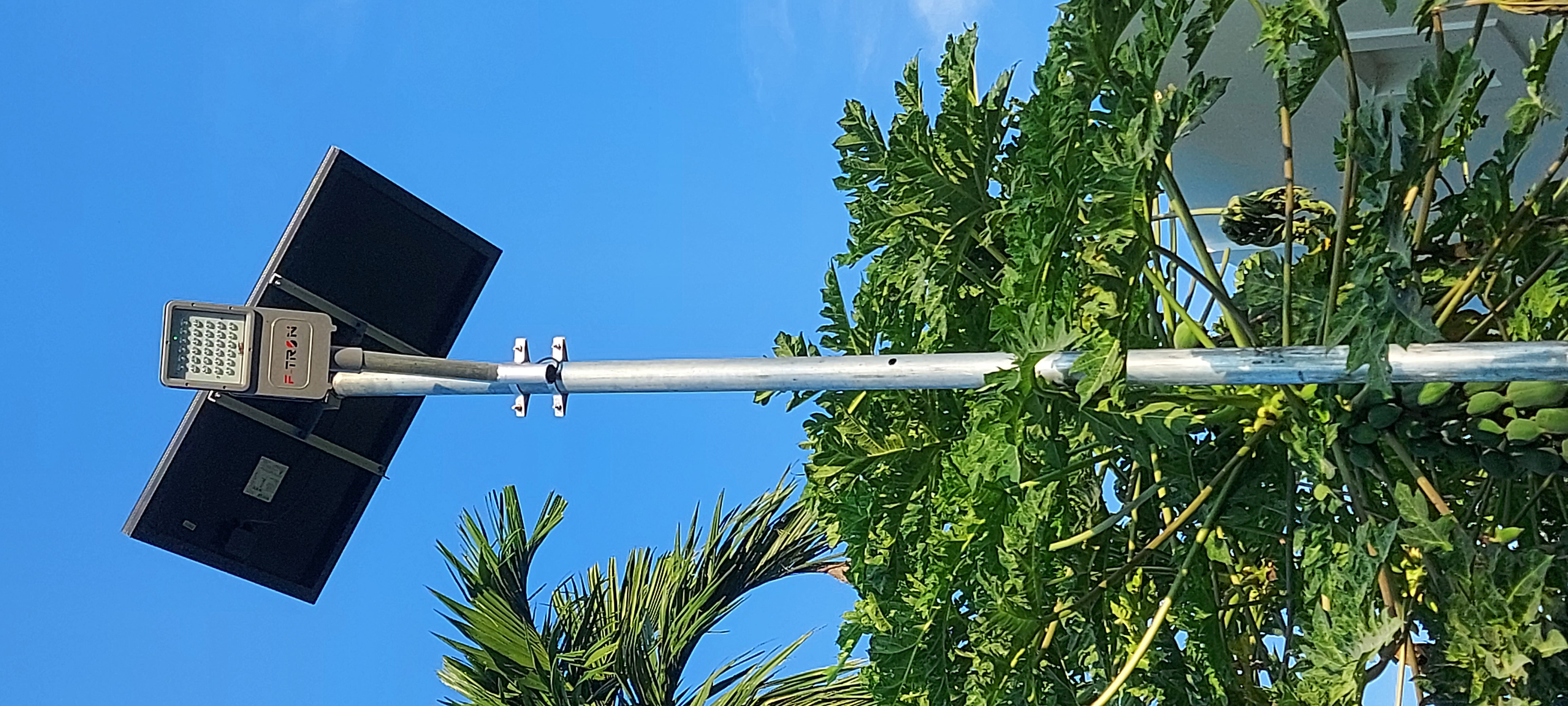 No Picture Available